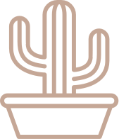 Recursos formas varias